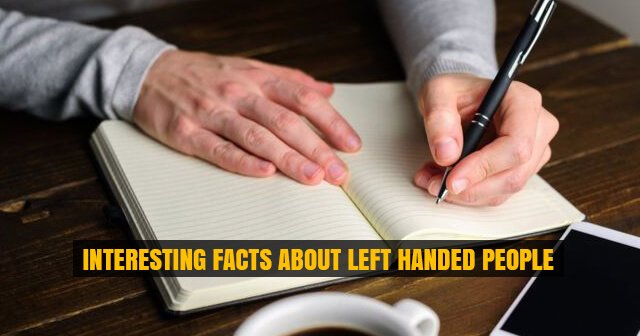 Interesting Facts about Left Handed People