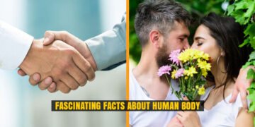 Facts about Human Body