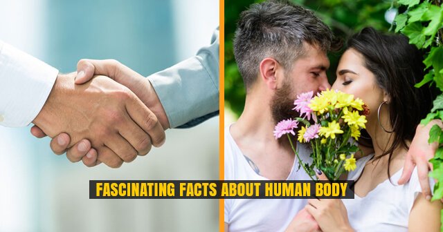 10 Fascinating Facts about Human Body | We Bet You Did Not Know About It