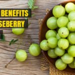 Health Benefits of Gooseberry (Amla)