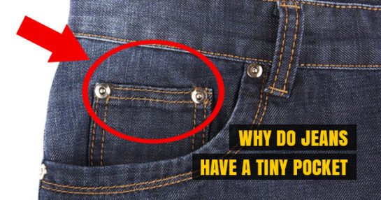 Did You Know| Why Do Jeans Have a Tiny Pocket - Garvi Gujarati