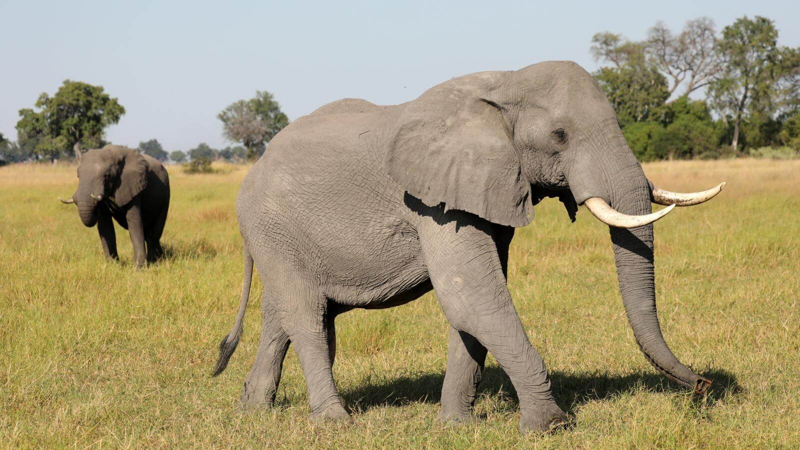 World’s Largest Zoo in Gujarat